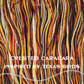 Birds of Texas Collection | Crested Caracara Colorway | Sport