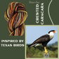 Birds of Texas Collection | Crested Caracara Colorway | Sport