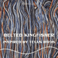 Birds of Texas Collection | Belted Kingfisher Colorway | Made to Order - Twisted and Spun Studio