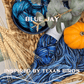 Birds of Texas Collection | Blue Jay Colorway | DK - Twisted and Spun Studio