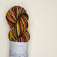 Birds of Texas Collection | Crested Caracara Colorway | Fingering - Twisted and Spun Studio