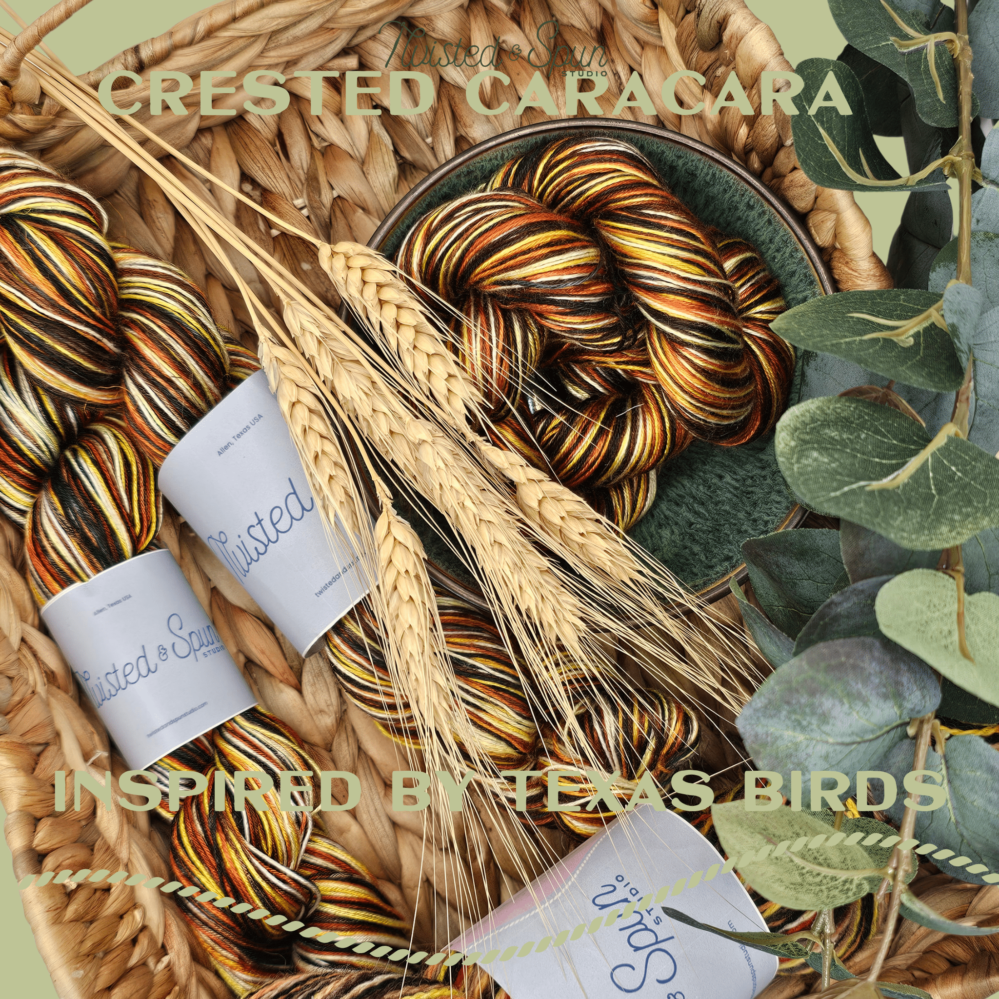 Birds of Texas Collection | Crested Caracara Colorway | Sport - Twisted and Spun Studio