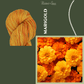 Marigold Colorway | DK - Twisted and Spun Studio