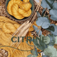 November Birthstones | Citrine Colorway | Fingering - Twisted and Spun Studio