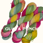 Summer Brights Collection | Guava Punch Colorway | Sport - Twisted and Spun Studio